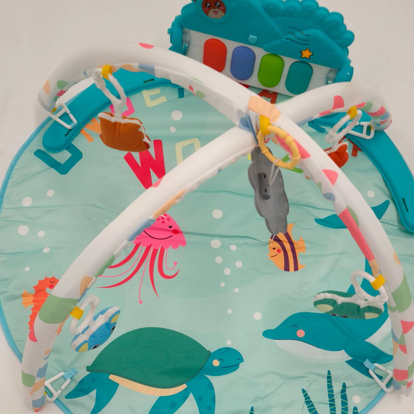 Ocean Activity Gym