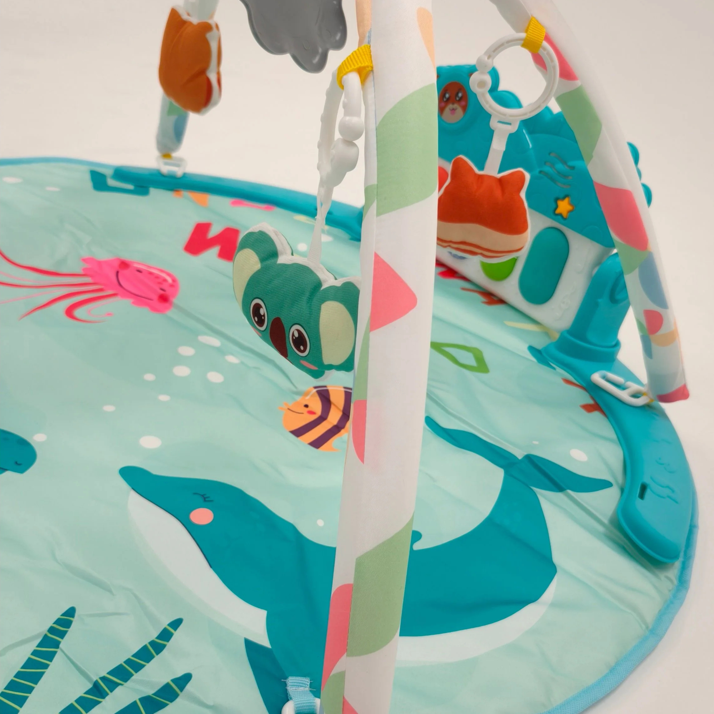 Ocean Activity Gym