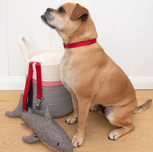 Urban Toy - Sammie the Shark