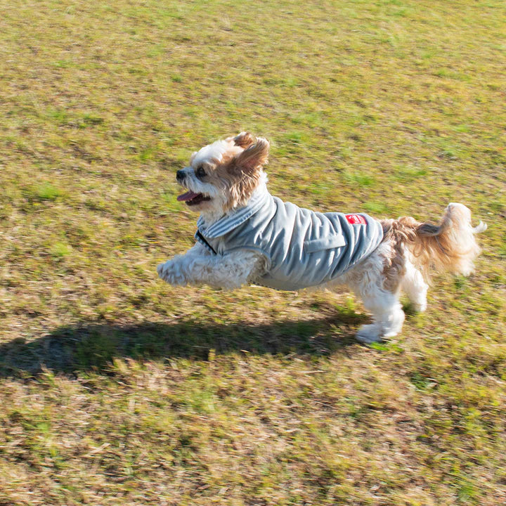 Reversible Light Sweater - Grey Stripe