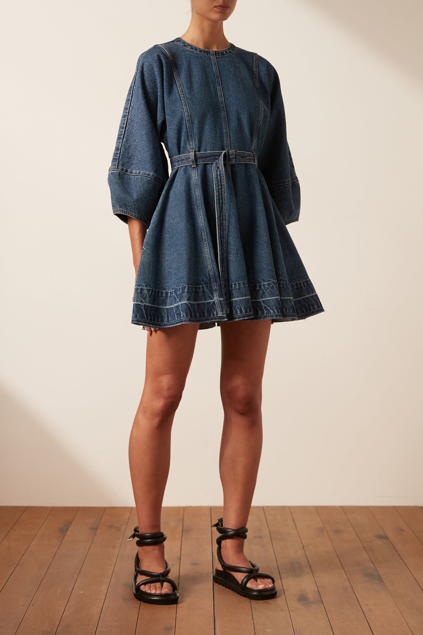 Anita Lantern Sleeve Mini Dress