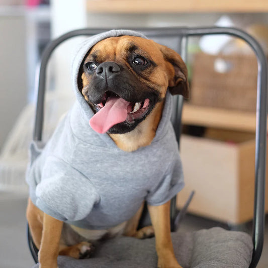 Hoodie - Grey