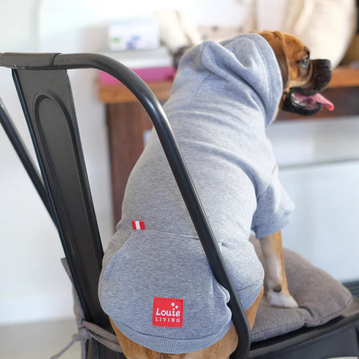 Hoodie - Grey