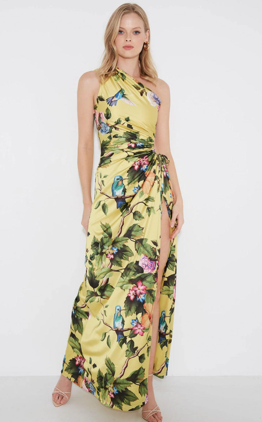 Nour Maxi Dress - Royal Botanica