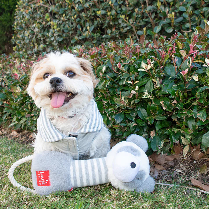 Reversible Light Sweater - Grey Stripe
