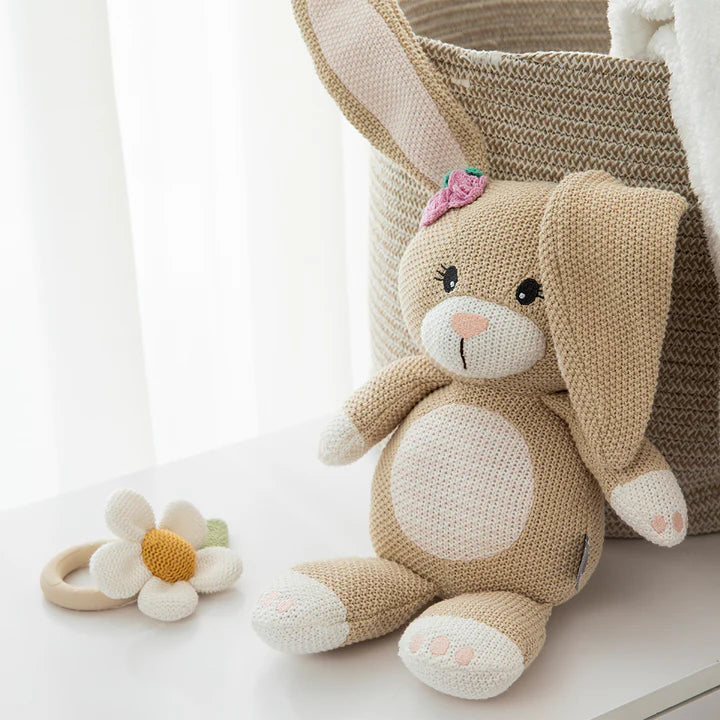 Teething Ring Rattle - Daisy