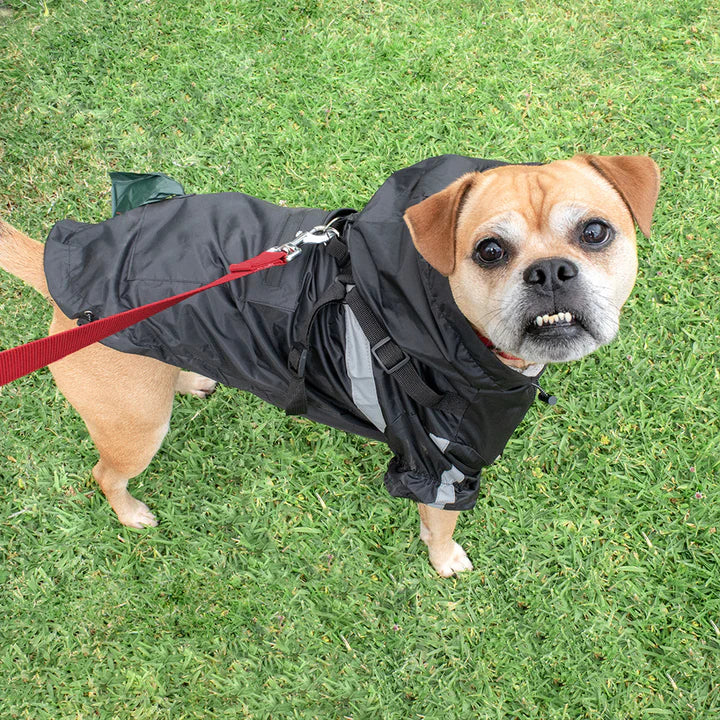 Raincoat - Black