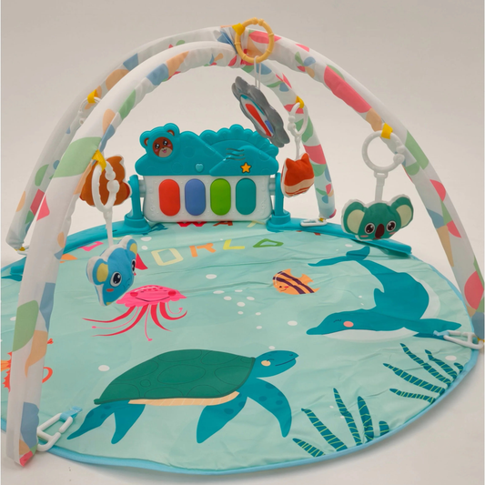 Ocean Activity Gym
