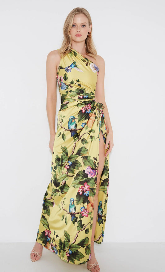 Nour Maxi Dress - Royal Botanica