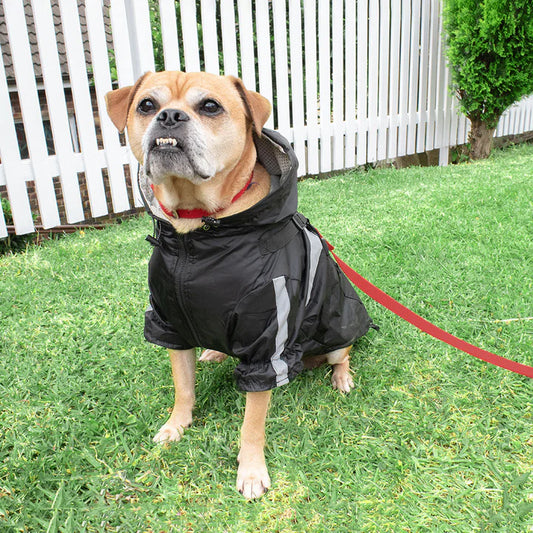 Raincoat - Black