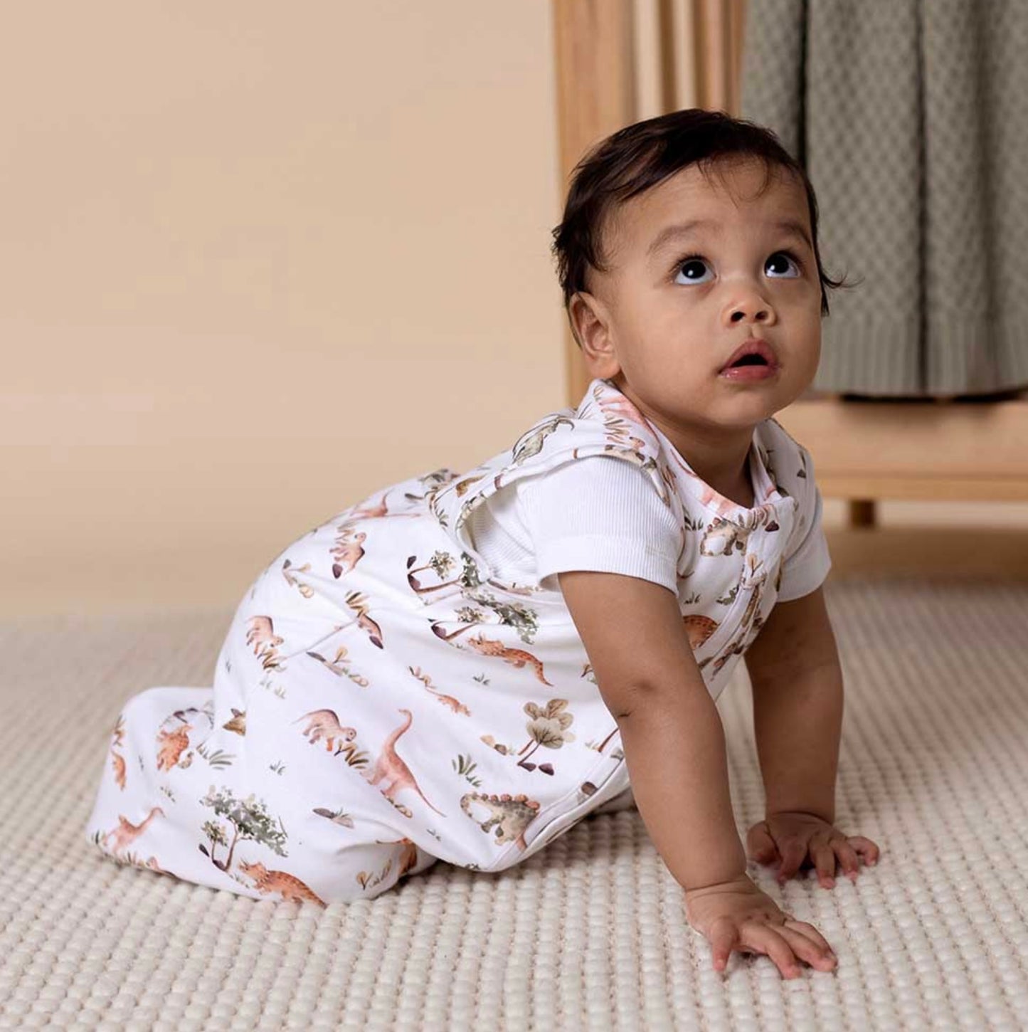 Dino Organic Cotton Sleeping Bag 2.5TOG