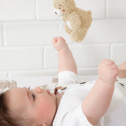2 Pack Stroller Toys - Cuddly Bear