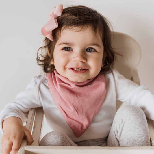 Jewel Pink Dribble Bib